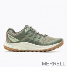 Chaussures de randonnée Merrell Paris - Antora 3 Femme Vert